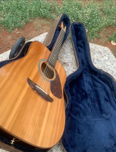 Violão 12 cordas Rozini Premium