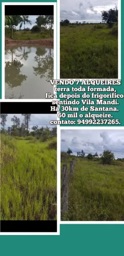 Vendo terra 7 alqueires