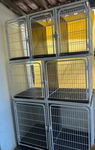 Canil pet shop