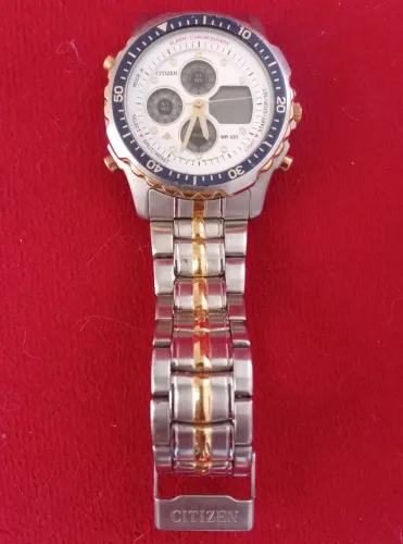 CITIZEN ORIGINAL WR100