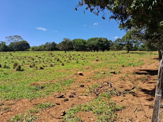 Chácara no Morumbi com 2,5 hectares,fica a 18 km de Planaltina-DF, pega 500 metros de casc