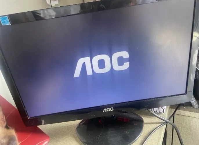 Monitor