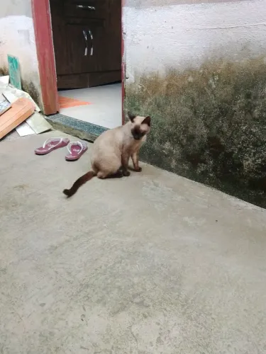 Doação 