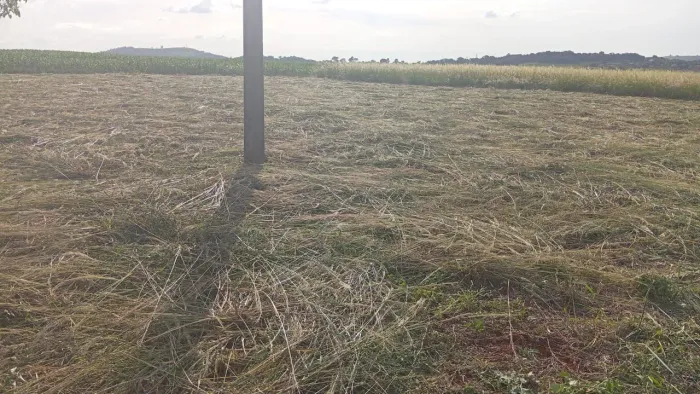 Chácara Usina três bocas <br>Prossima ao restaurante fogão da roça