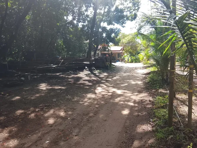 Barra Grande Terreno