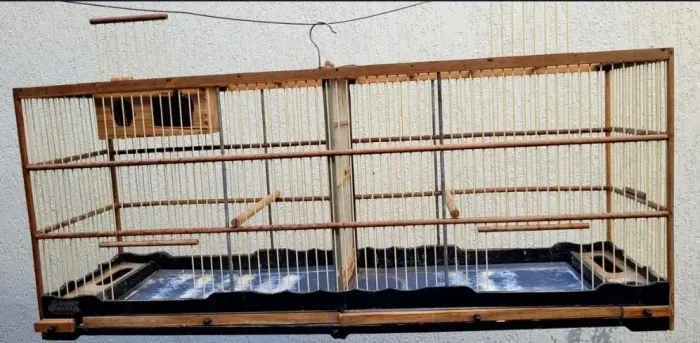 Gaiola voadeira para Canários ou similares