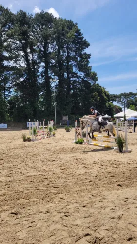 Cavalos Hipismo Salto