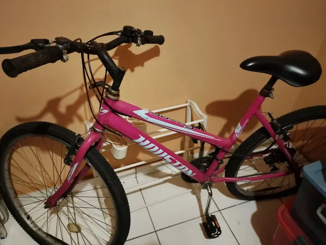 bicicleta JUVENIL feminina valor 250 contato *25