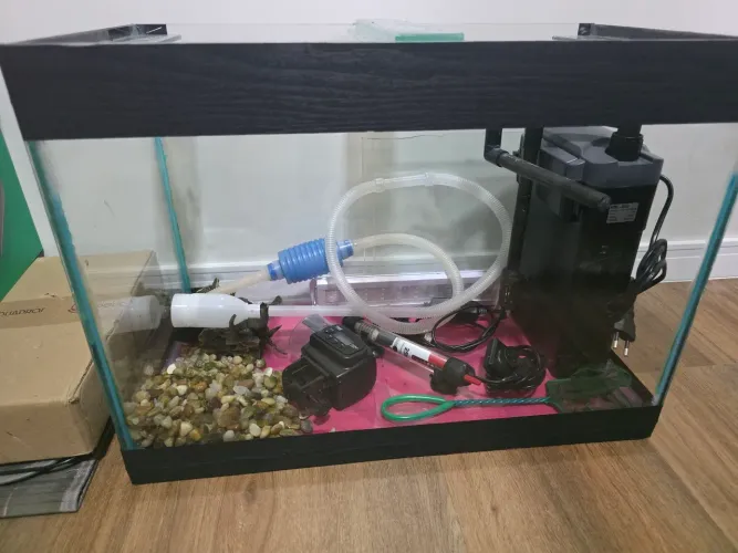 Aquário completo 60L com filtro grande
