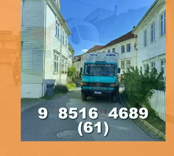 Frete*Mudanças/Carretos~Transporte|Bau+Profissional!