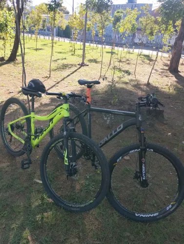 Bicicletas