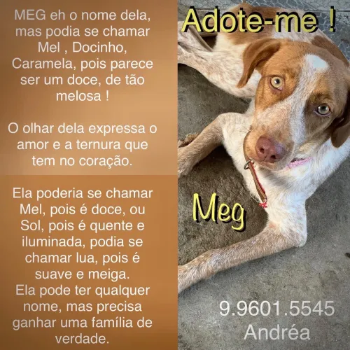Meg, uma ruivinha linda para amar
