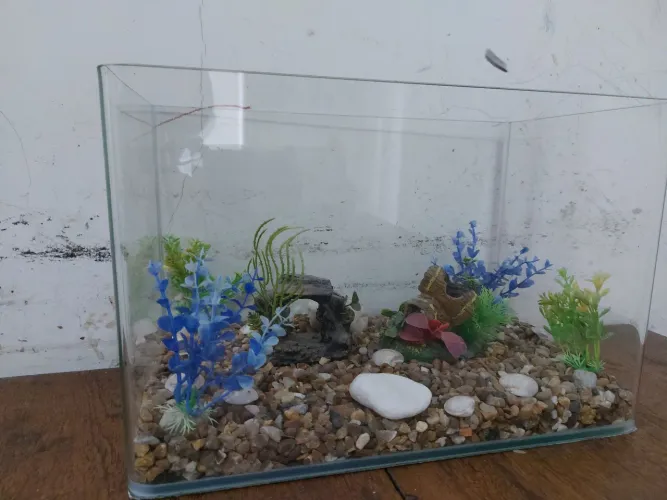 Aquário Completo