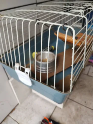 Gaiola para roedores (porquinho da índia)