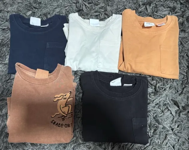 Lote camiseta Zara 12-18 meses - manga longa