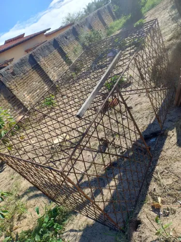 Gaiola de ferro 