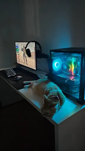 Setup gamer