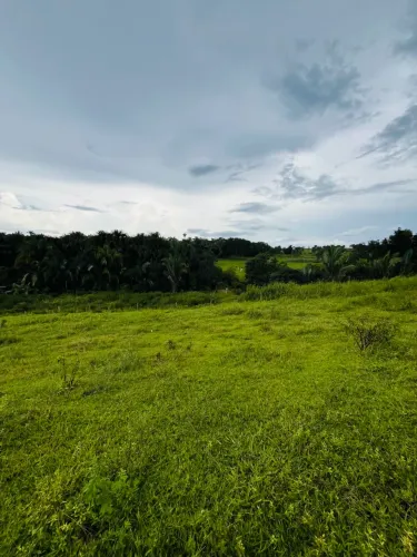 Arrendamento de fazenda em Miranorte