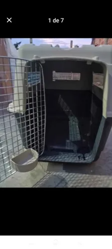 Caixa de transporte Pet