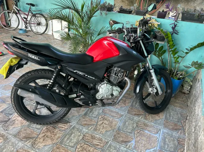 Factor 125 2020