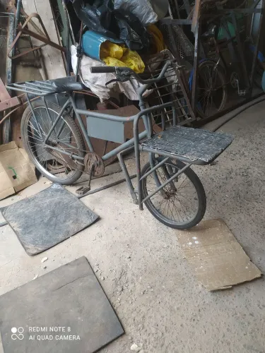 Bicicleta cargueira