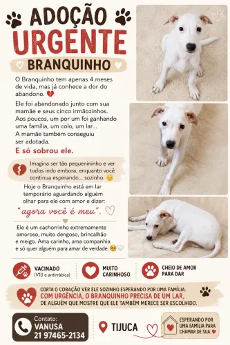 Adote o Branquinho!