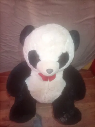 Urso panda 