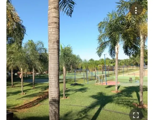 Ação Clube palmeiras em Uberlândia mg