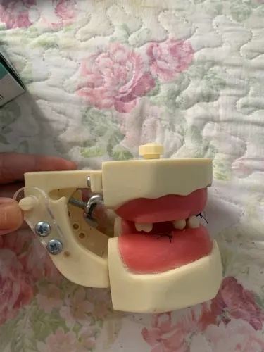 Manequim de Cirurgia + Placa de Sutura - Treinamento Odonto