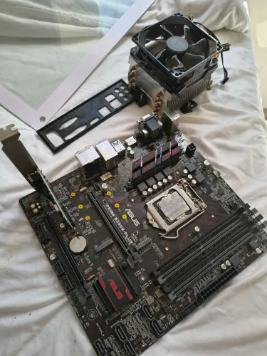 ASUS B250M-PLUS - LGA 1151