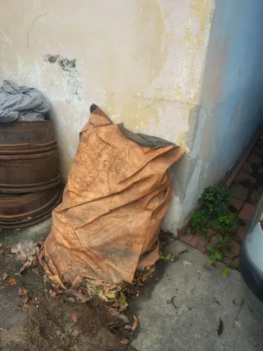 Lonil para diversas coisas ela é ela é para graneleiro ou publicada ela é 15 por 5 na cor