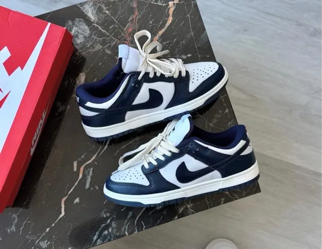 Tênis Dunk low Nike N38 ao 42