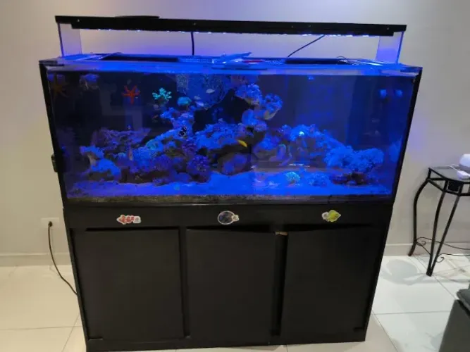 aquário 540 litros 150x60x60 10mm + sump cx de reposição e móvel