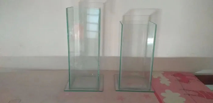 Dois vasos