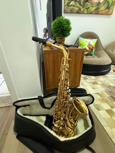 Saxofone Eagle revisado oportunidade!!