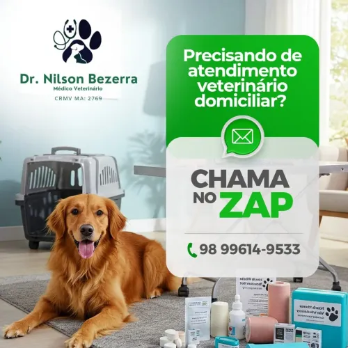 Trabalhamos com atendimento veterinário 24 hrs 