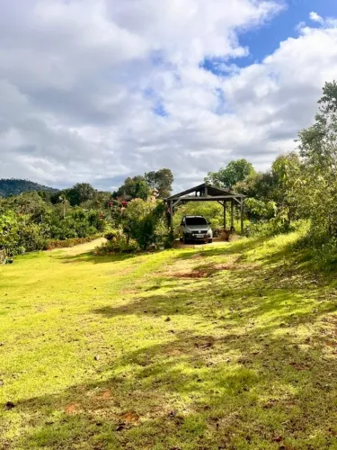 Fazenda 500 x 2000m a 25 km de Ruropolis - PA