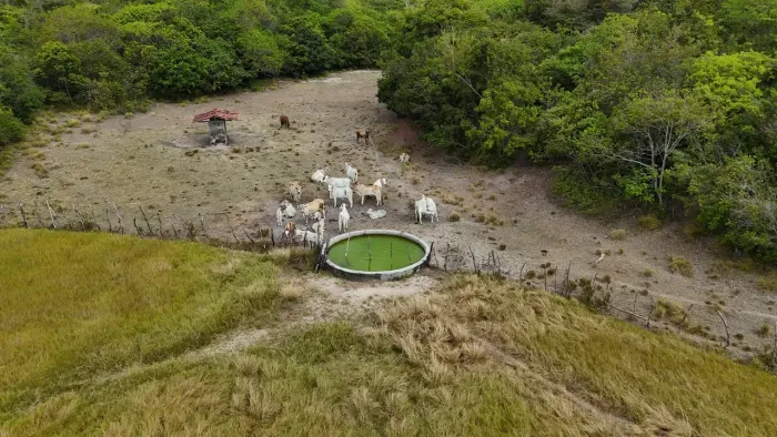 fazenda com 165 hectares na região de mataraca região paraibana