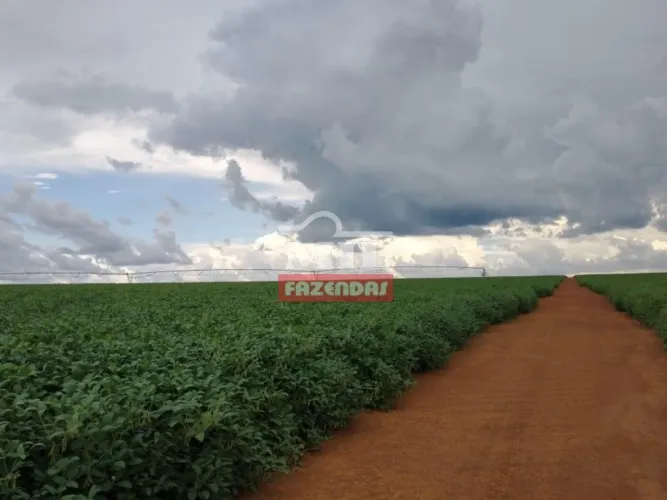 Fazenda de 639 alqueires (3.090 hectares) em Campo Verde MT área agrícola