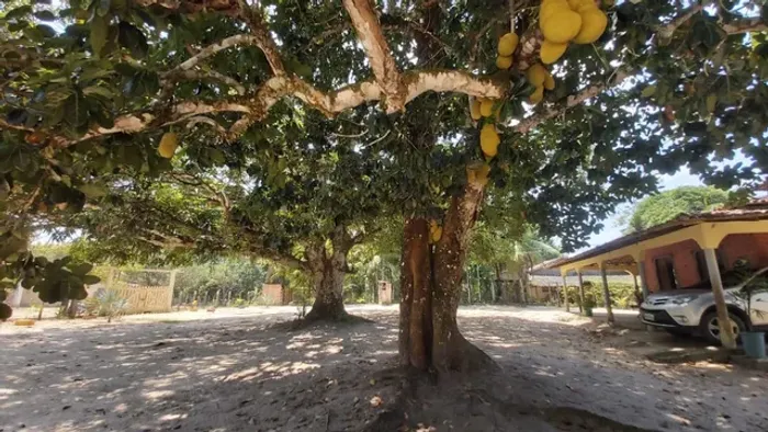A.Moura Gestor Imobiliário-Vende 1 Chácara em Santa Maria do Pará 46.750m2, Pa