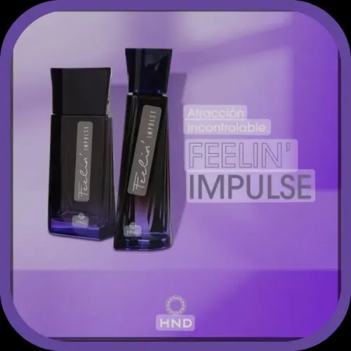 Perfumes feeling sexy masculino e feminino Hinode