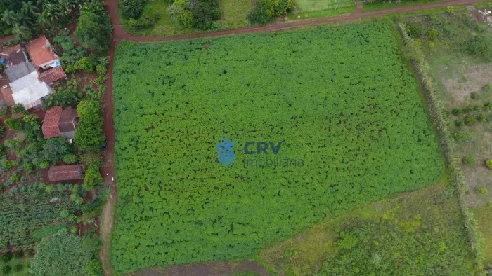 Chácara à venda, 20405 m² por R$ 800.000,00 - Limoeiro - Londrina/PR