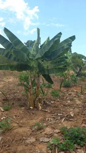 Lote Serra da Mesa 580m² vendo ou troco por carro. Whatsapp *