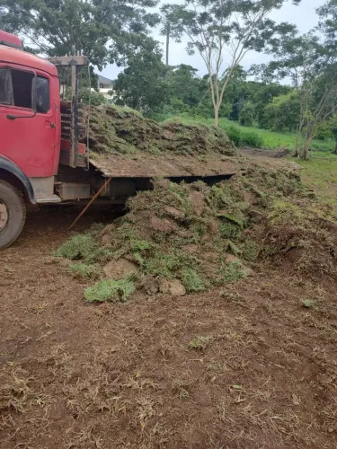 Império Grass! Gramas De Qualidade