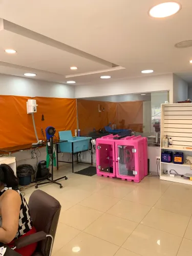 Passo Ponto Banho e Tosa em funcionamento