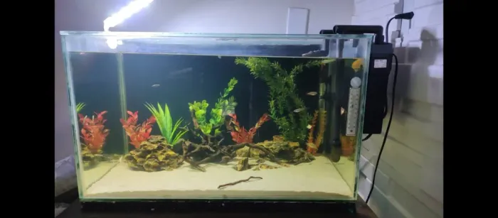 AQUARIO 70X40X40