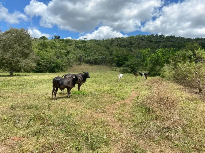 Propriedade Rural em Itaitu