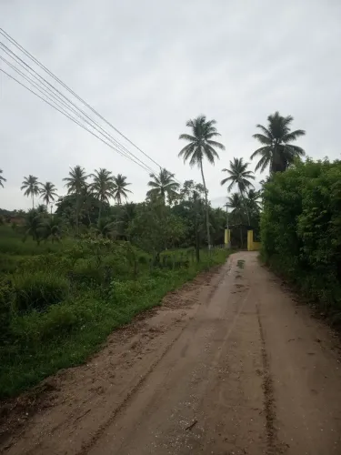 Vendo terreno urgente em Pirajuí e mangue seco 20 mil