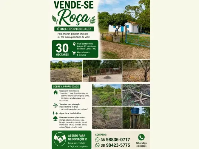 Terreno 30 Hectares 
