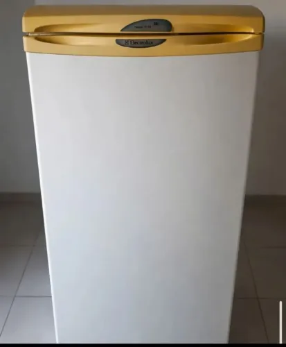 Freezer Eletrolux F1